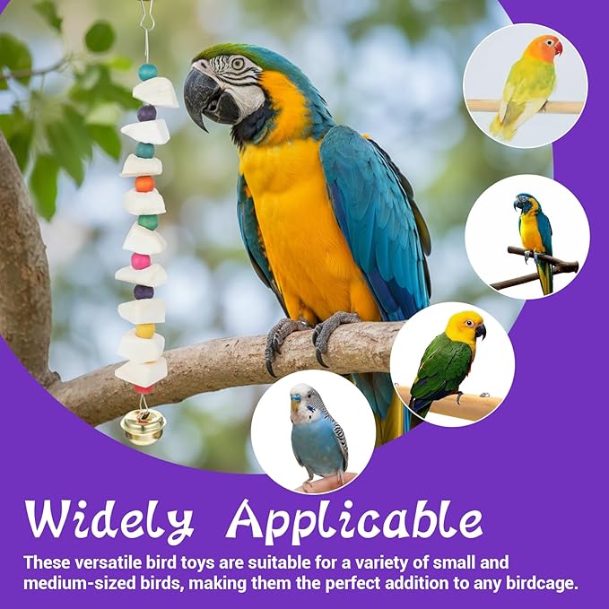 Lusofie 2 Pack Bird Beak Grinding Stone - Cockatiel Bird Toy with Cuttlebone and Beak Grinding Stone - Small to Medium Birds Cage Accessories for Parakeets Budgies Cockatiels Lovebirds Conures