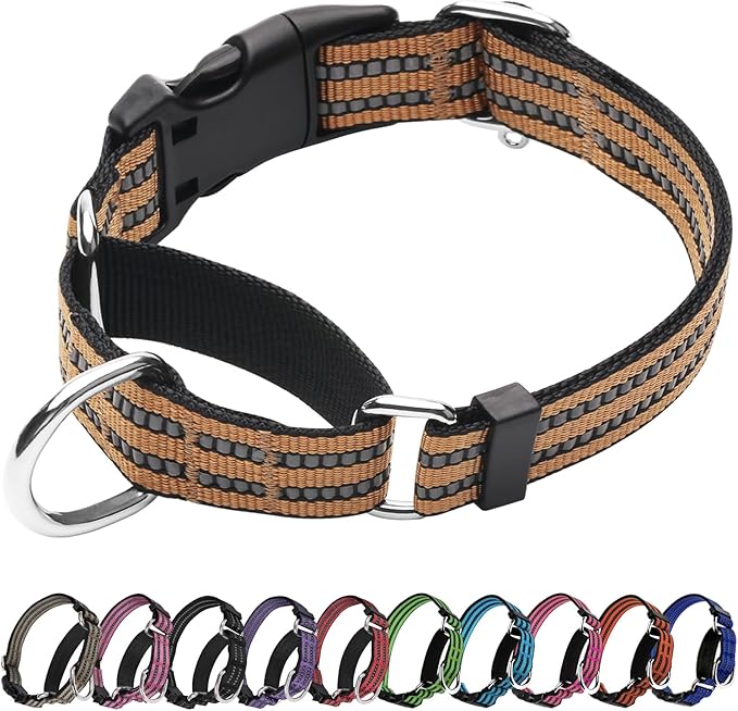 Martingale Dog Collar, Adjustable Nylon Reflective Collar with Quick Release Buckle (Turmeric Brown, Large)