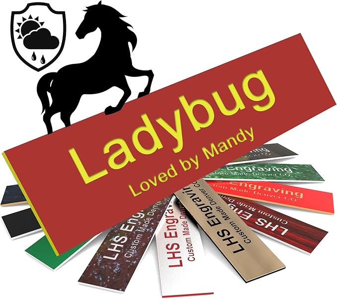 Horse Stall Name Plate, 2x10 Personalized Stall Signs, UV Protected, All Weather Adhesive, Hanging, Mounting or Other, Red Plastic Yellow Letters - Made in USA - B22