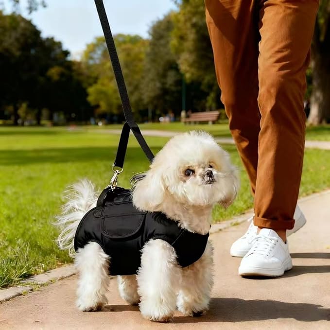 Portable Small Dog & Cat Pet Carrier Sling & Backpack for Small Dogs & Cats & Puppy, Dog & Pet Purse Bag Carrier Sling for Small Dogs with Dog Traction Leash, Crossbody Sling Carriers (Black S)