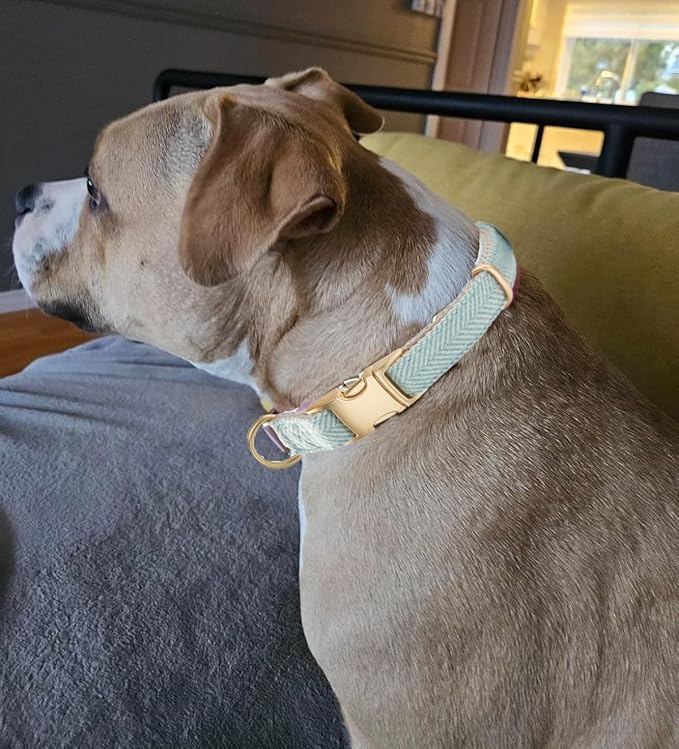Soft Cotton Hemp Dog Collar with Metal Buckle Adjustable Twilled Dog Collars for Small Medium Large Dogs(Blue,Medium)