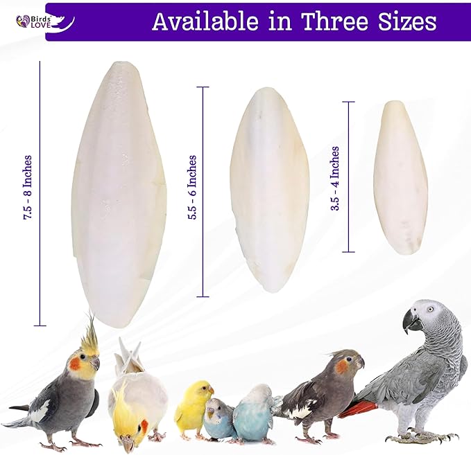 Birds LOVE Natural Cuttlebone for Birds & Reptiles – 100% Pure Sun-Dried Calcium Supplement – Supports Beak, Bone & Shell Strength – Safe Daily Use - 1 Pack with Holder, Size 7.5 to 8"