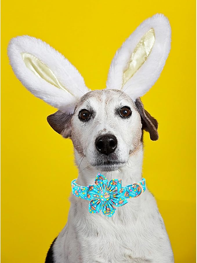 Lionheart glory Easter Day Dog Collar with Flower Dog Collar for Medium Dogs, Easter Egg Dogs Collars Colorful Spring Collars Flowers Puppy