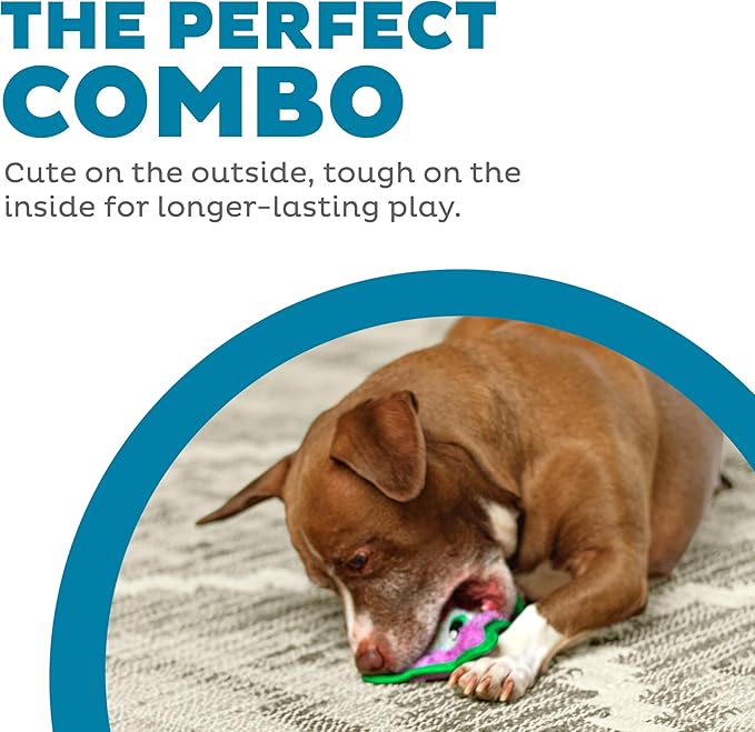 Outward Hound Durablez Minis – Squeaky Plush Dog Toy,No Stuffing for Less Mess,Interactive & Tough,Jumbo Squeaker,Puppies & Small Dogs,Owl,5.8",(Pack of 2)