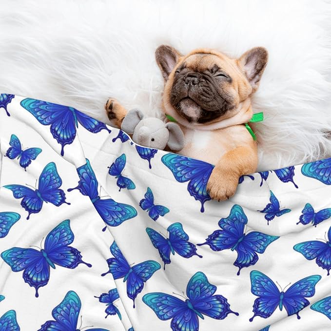 Pet Blanket for Car Rides Vet Visits, Butterflies Blue Purple, Two Sided Reversible Plush Design with Bumpy Dot Side Offers Comfort Home Piece On Go Travel