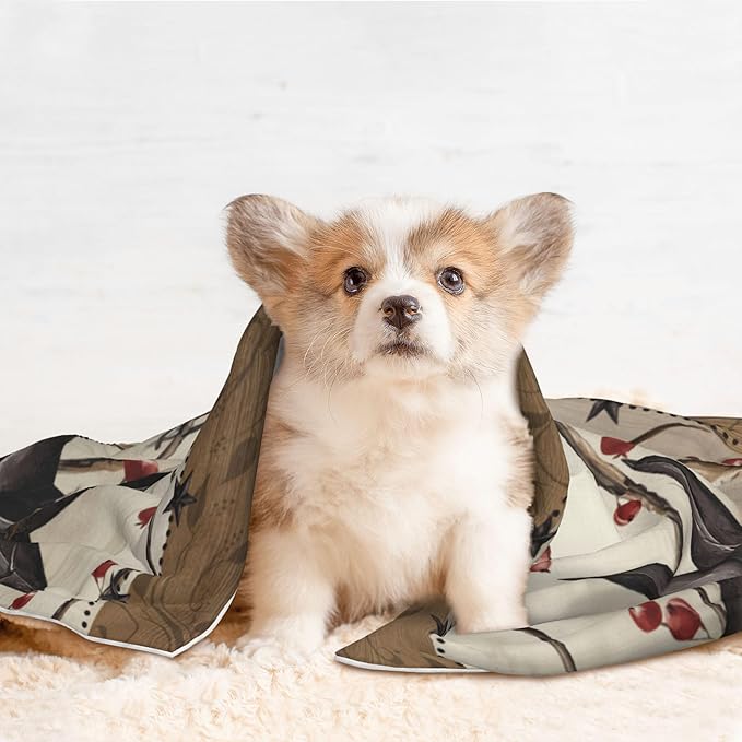 Western Star Blanket for Dog Cat - Rustic Boho Throw Blanket 30x20 Star Pet Blanket for Couch Sofa Bed