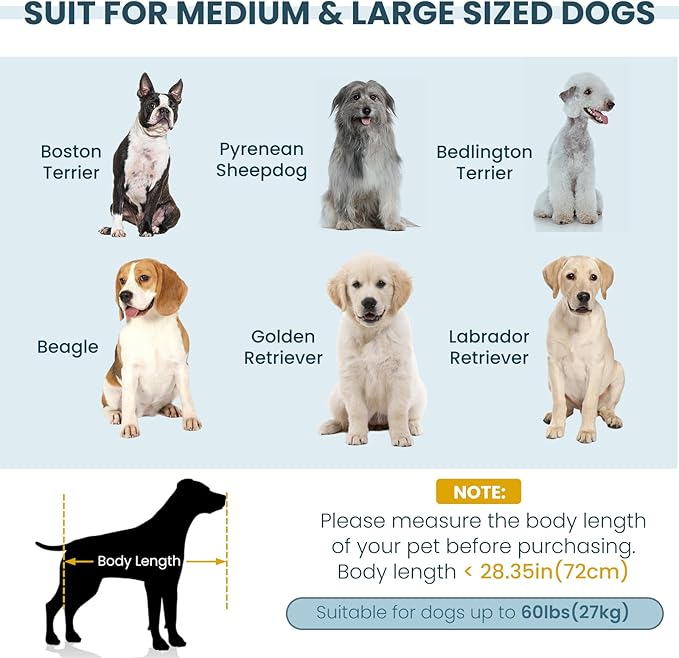 Elevated Dog Sofa with Backrest and Armrests, Button Tufted Pet Bed with Soft Cushion for Medium Dogs, Stylish Lounging Bed Pet Couch Chair for 60Lbs Dog, Blue