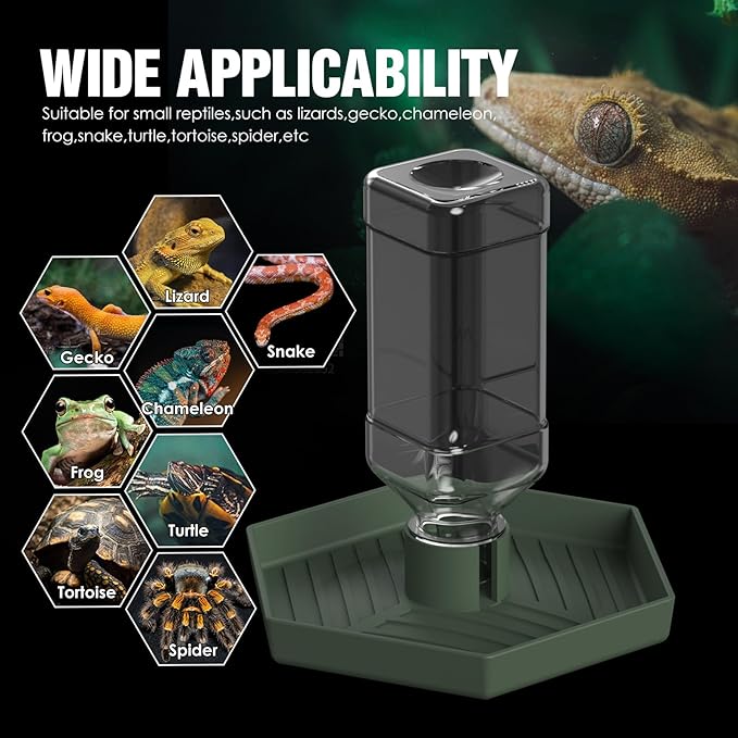 Reptile Water Dispenser-Bearded Dragon Water Bowl - Small Water Dish for Tortoise - Bowls for Reptiles & Amphibians (L)