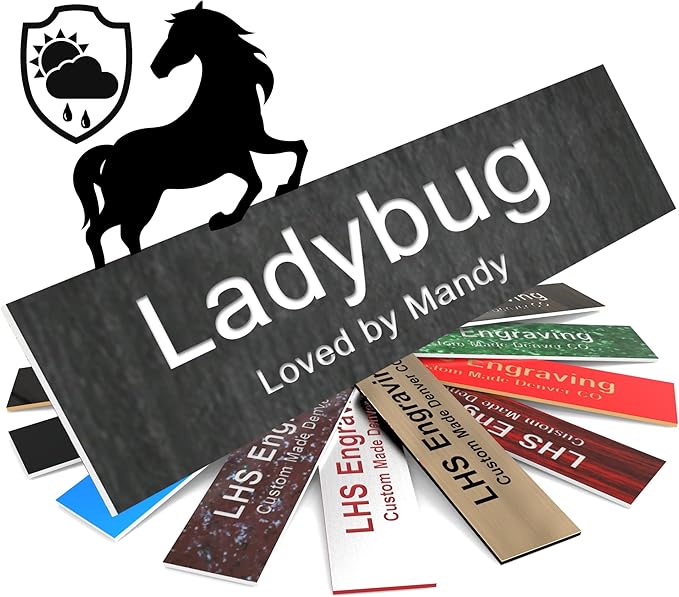 Personalized Horse Stall Name Plates, 2x10 Horse Stall Signs with Adhesive, All Weather UV Protected, Ash Plastic White Letters - Made in USA - N1