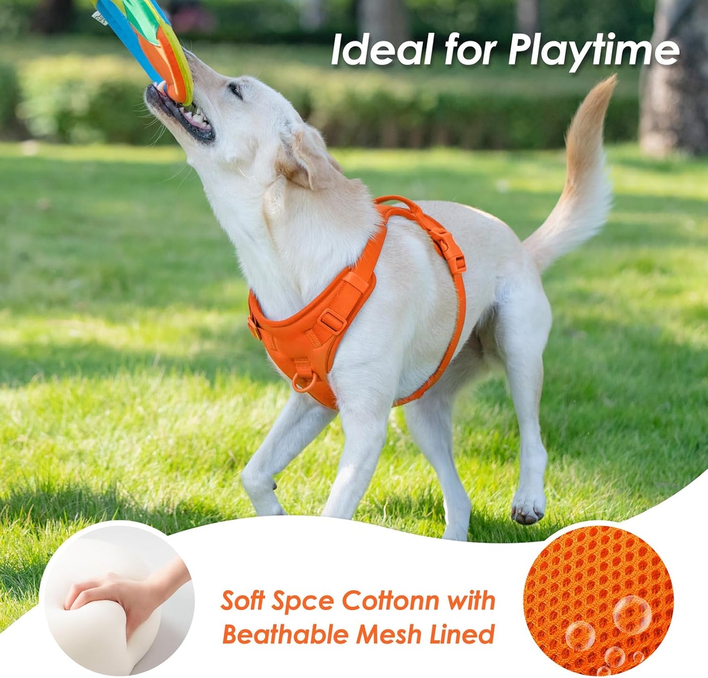 No Pull Dog Harness, Puppy Vest with Front Clip for Small Medium Large Sized Dog(Orange,XS)