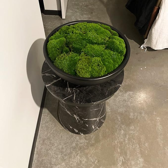 Preserved Pole Moss Pillow Bun Cushion Natural Green Decorative Real Natural Green DIY Kit Terrariums Gardenning Art Wall Decor Florist Decor Easter Table Decor Wedding(15.0 sq.ft., Green-B)