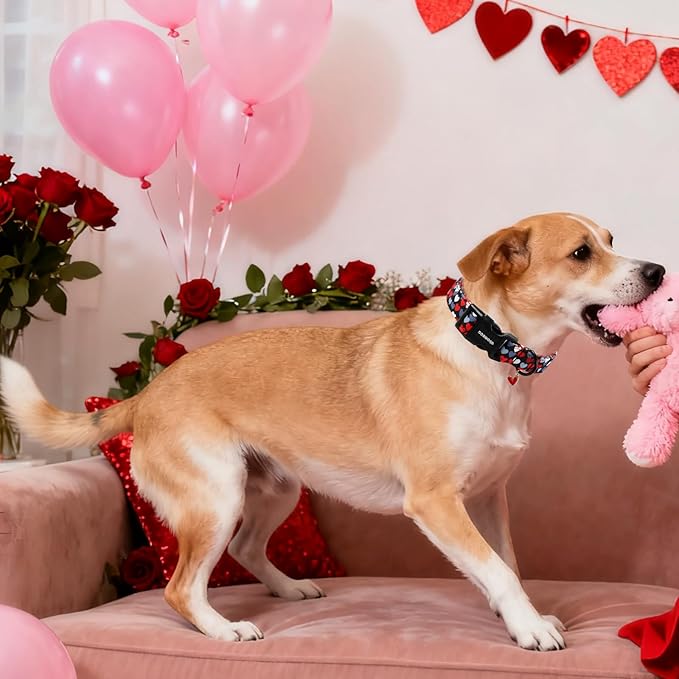 DOGWONG Red Heart Dog Collar, Cute Valentine Collar, Valentine's Day Dog Collar with Strong Plastic Buckle for Small Medium Large Dogs,XL