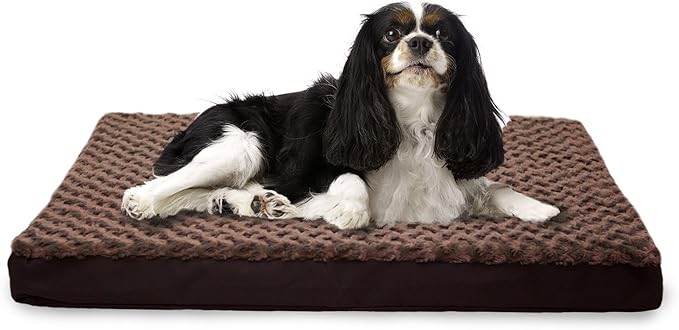 Furhaven Memory Foam Dog Bed for Medium/Small Dogs w/ Removable Washable Cover, For Dogs Up to 35 lbs - Ultra Plush Faux Fur & Suede Mattress - Cream, Medium