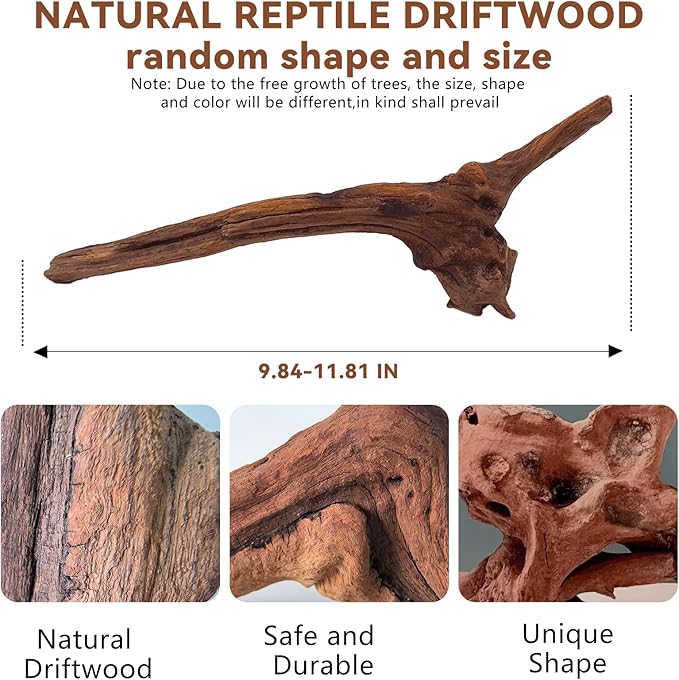 BNOSDM 2PCS Snake Climbing Branches,Reptile Natural Coral Driftwood Branches Decor,Lizard Habitat Decoration Accessories, Terrarium Tree Trunk Ornament for Bearded Dragon Gecko Frog Chameleon Spider