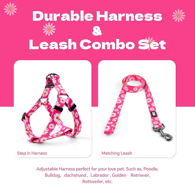 QQPETS Dog Harness Leash Set Adjustable Heavy Duty No Pull Halter Harnesses for Small Medium Large Breed Dogs Back Clip Anti-Twist Perfect for Walking (M(19"-26" Chest Girth), Daisy)