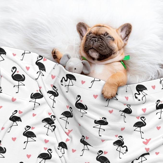 Two Sided Pet Cuddler Blanket for Anxiety Calming, Flamingo, Reversible Plush Design with Bubble Dot Pattern Provides Familiar Surface Anywhere