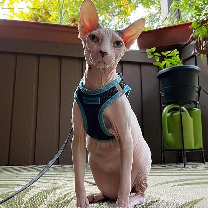 Best Pet Supplies - All Weather Mesh/Plush, Reflective, No Pull Harness for Small, Medium Dogs, Cats - Secure with Hook & Loop Fastener, Buckle, Double D-Rings - Black/Blue Trim, XL