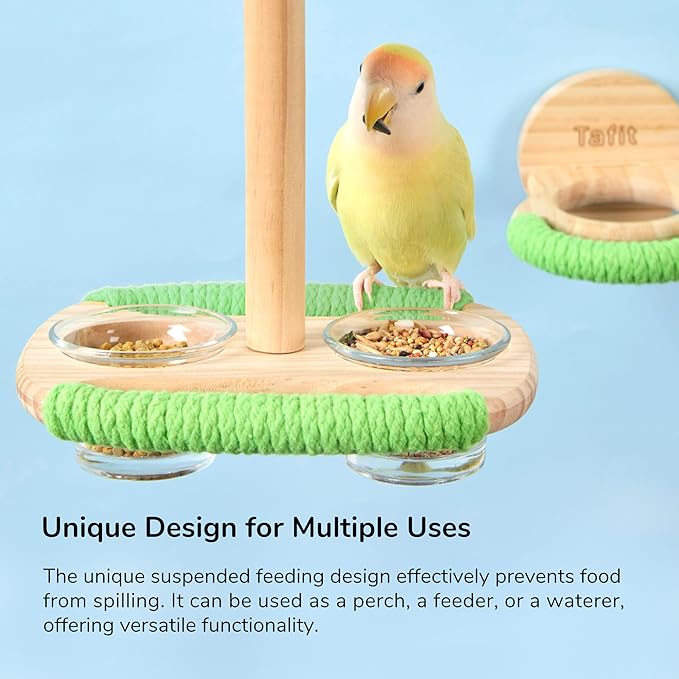 Bird Feeder & Perch – Includes Cotton Rope Perch and 2 Glass Feeding Cups – Cage Accessory for Cockatiels, Budgies, Lovebirds, Conures, Canaries, Finches, and Small Parrots