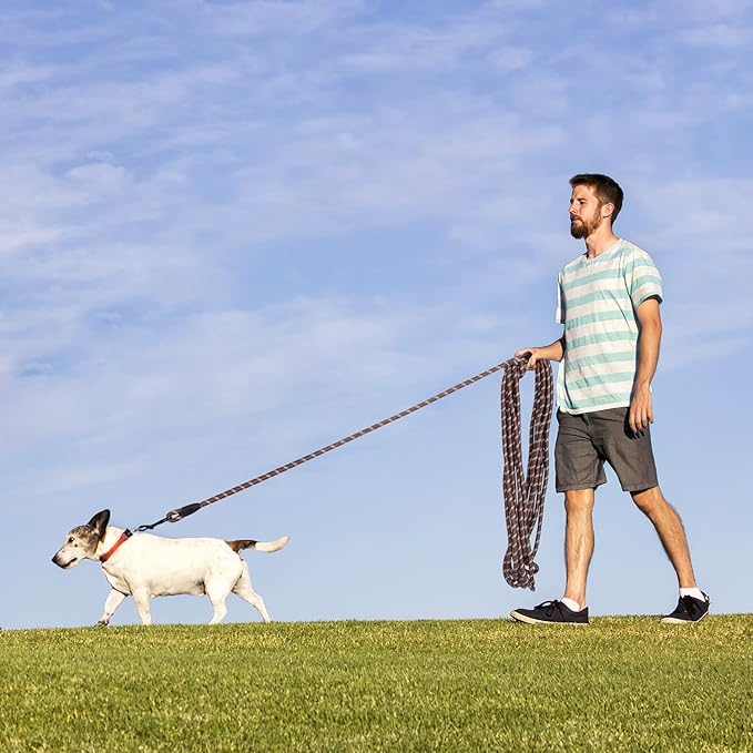 Long Dog Leash for Training 15Ft-Reflective Nylon Rope with Swivel Hook-Recall Agility Lead for Large Small Medium Dogs Outside Walking Hiking-Brown