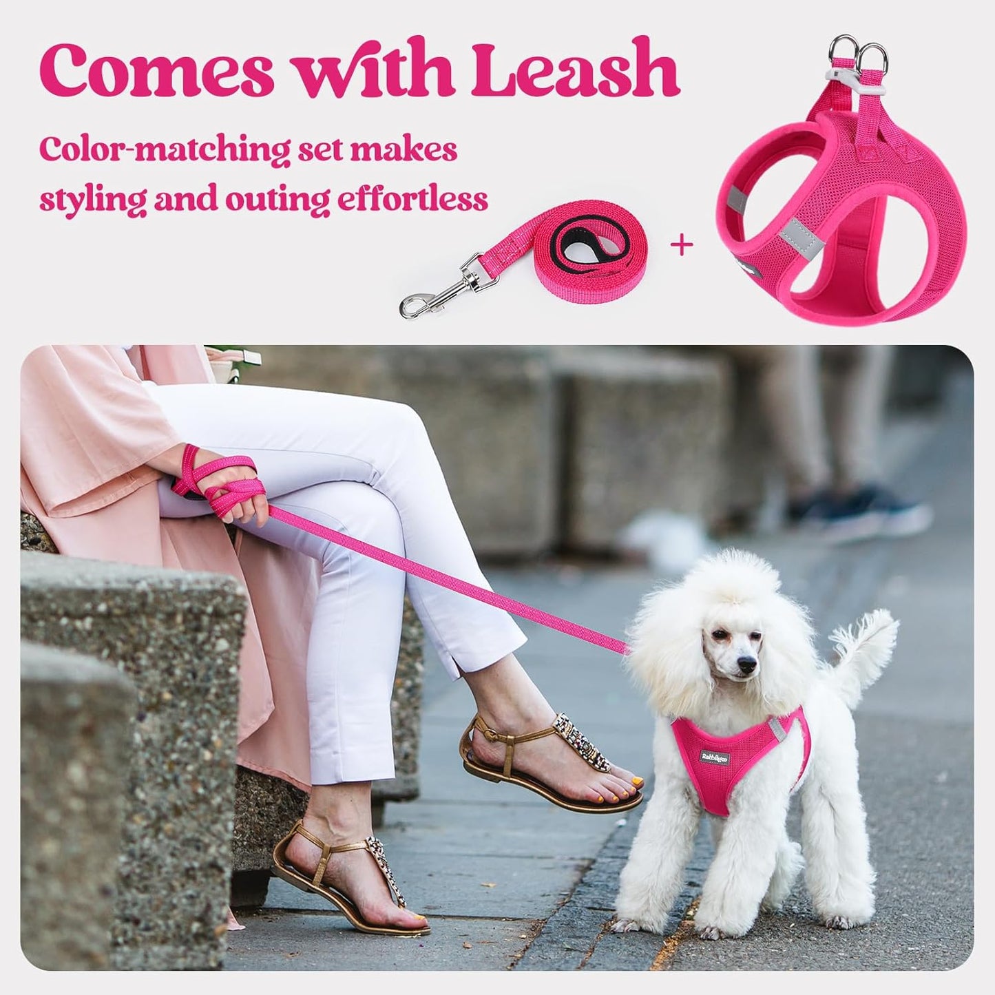 rabbitgoo Dog Harness Small Sized and Leash Set, Step in Soft Light Puppy Vest, Breathable Mesh Pet Harness, Reflective for Safe Easy Walking, Rose Red M