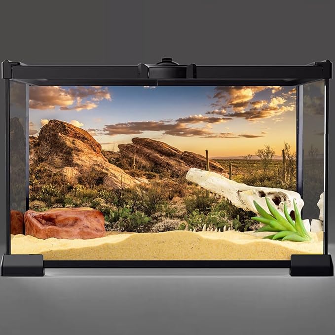 AWERT Reptile Habitat Background Blue Sky Oasis Cactus Sun and Desert Terrarium Background 72x24 inches Durable Polyester Background