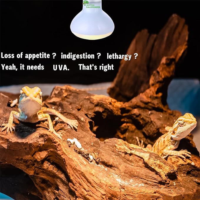 Reptile Heat Lamp Used in Reptiles 75W 100W Heat Lamp Bulbs for Reptiles 2 Pack Amphibians Basking Heat Lamp Bulbs UVA Daylight Basking Light (100Watts)