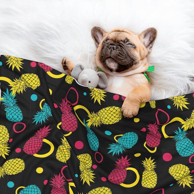 Two Sided Pet Cuddler Blanket for Anxiety Calming, Colorful Tropical Summer Pineapple Print, Reversible Plush Design with Bubble Dot Pattern Provides Familiar Surface Anywhere