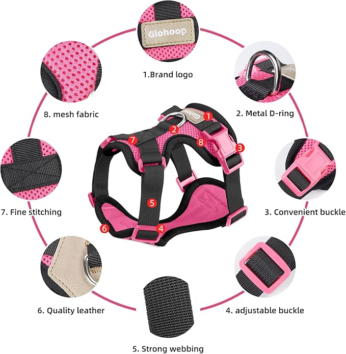 Small Dog Harness and Leash Set, Breathable Mesh Puppy Harness, Adjustable Dog Harness for Small Medium Large Dogs, No-Pull Pet Harness for Daily Walking (Hotpink, X-Large)