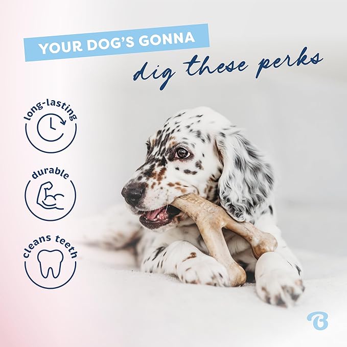 Benebone Puppy 2-Pack Dental Chew/Wishbone Real Chicken Small
