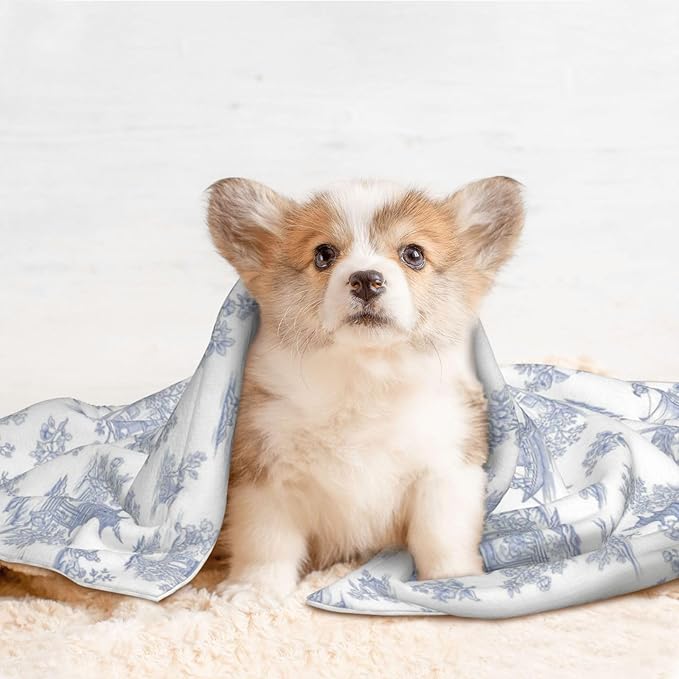 Reversible Plush Dot Pet Blanket for Dogs and Cats, Chinese Style Powder Blue Chinoiserie Toile, Ultra Soft Two Sided Design with Warm Fuzzy Side and Smooth Side for Comfort