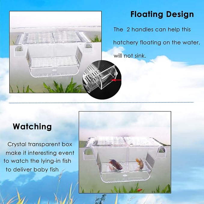 Cepetsma Fish Breeder Box - Hang-on Nursery Fish Tank With Breeding Hatchery, Perf for Aggressive & Injured Species