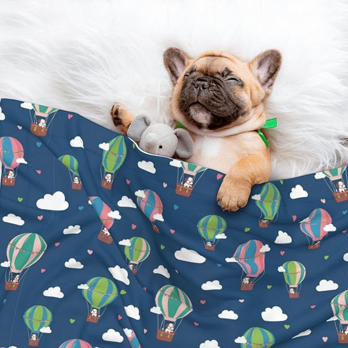 Double Sided Plush Pet Blanket with Cozy Dot Texture and Smooth Reverse, Dachshund Hot Air Balloon Dogs, Reversible Throw for Dogs Cats on Couches Beds Crates