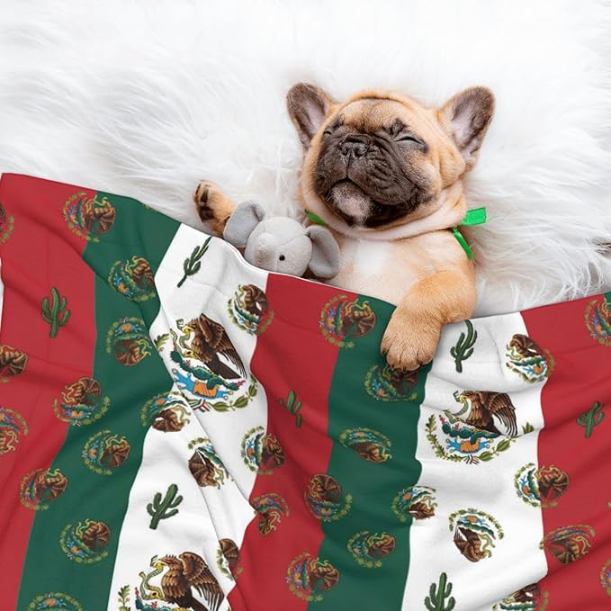 Two Sided Plush Pet Blanket for Crates Carriers Home Use, Mexican Flag, Reversible Throw with Cozy Dot Fabric and Silky Reverse for Small Large Pets