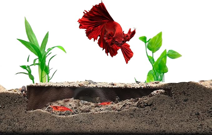 Shrimp Breeding Protector | Shrimp Breeding Cave Aquarium Tunnel | CTWPets (Brown)
