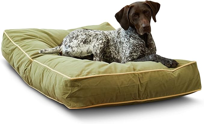 South Pine Porch Buddy Reversible Rectangle Pillow Style Microfiber Dog Bed with Removable, Machine-Washable Cover, Moss, Medium (42 in. x 30 in.)