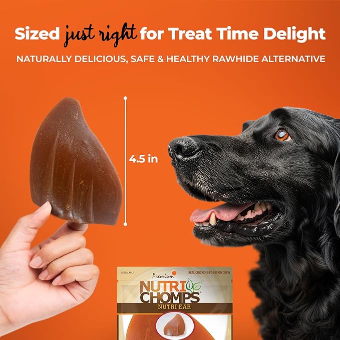 NutriChomps Dog Chews, Ear Shaped, Real Chicken Flavor, 1 Count, Easy to Digest, Rawhide Free Dog Treats, Long Lasting, Vitamin and Mineral Enriched