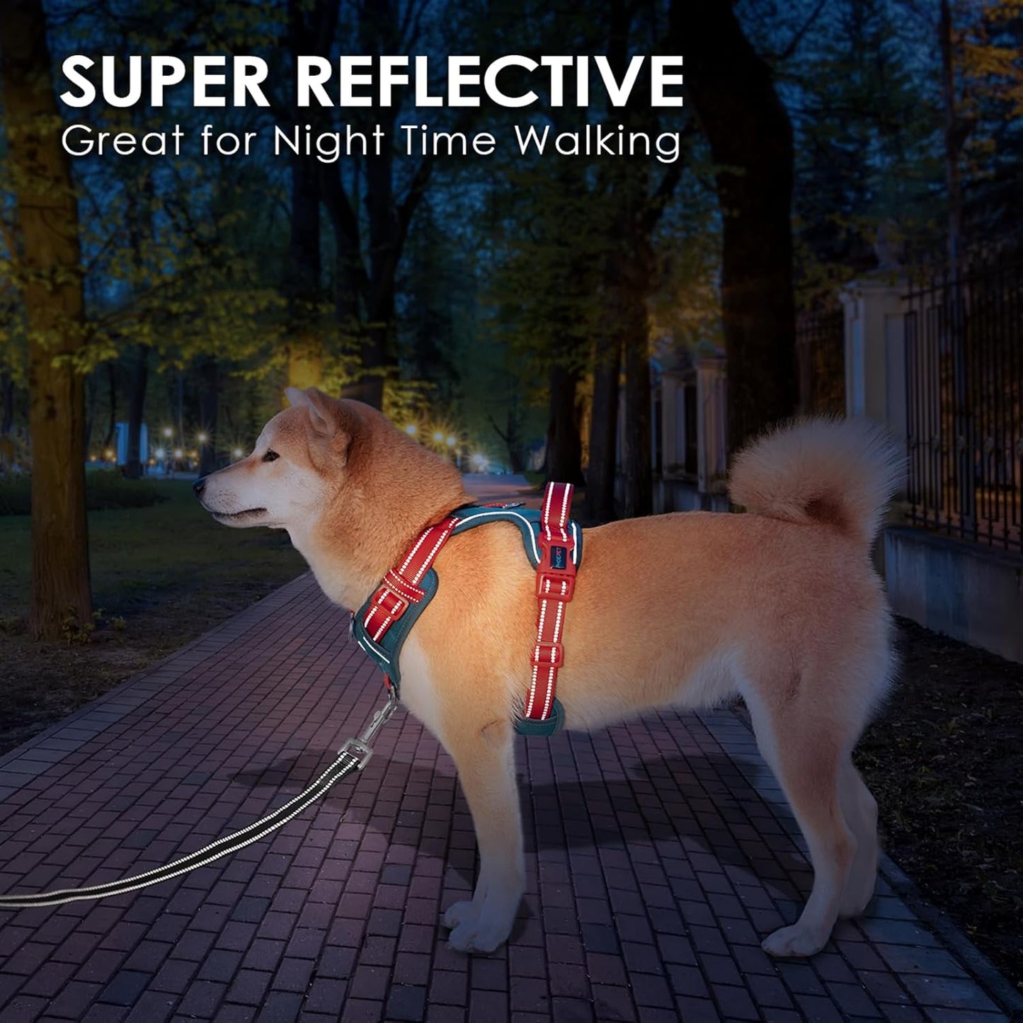 PHOEPET No Pull Dog Harness, Unique Colors Reflective Adjustable Dog Vest, with Soft Training Handle Metal Clips for Small Medium Large Dogs (Teal Base & Red Straps,M)