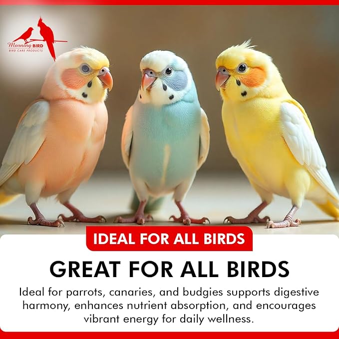 Morning Bird Probiotics for Birds 16 oz – Digestive Health Supplement Supporting Gut Balance, Nutrient Absorption & Immune Support – Easy Mix Powder Supplement for All Bird Species