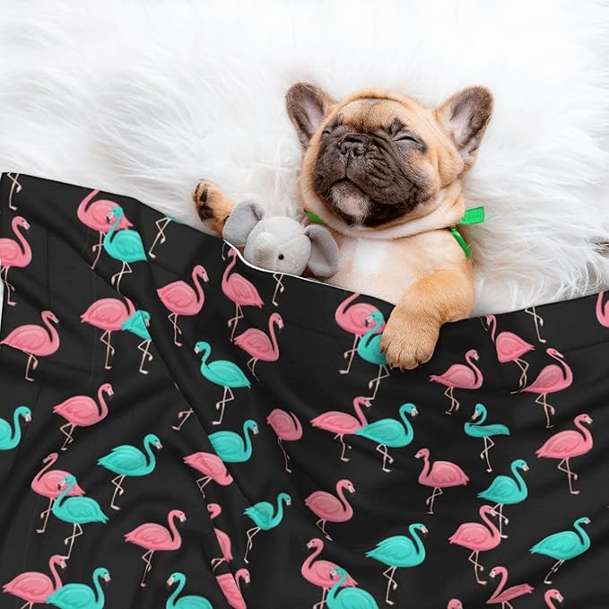 Reversible Plush Pet Blanket for Puppies Kittens, Flamingo Pattern, Double Sided Gentle Dot Texture for New Pets Adjusting to Home Environment Softly