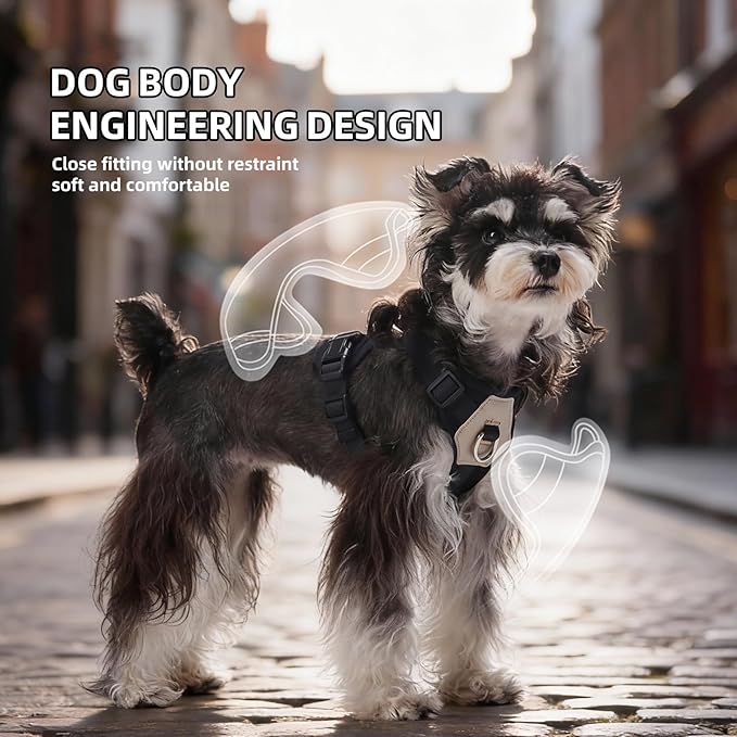 Small Dog Harness and Leash Set, Breathable Mesh Puppy Harness, Adjustable Dog Harness for Small Medium Large Dogs, No-Pull Pet Harness for Daily Walking (Black, Small)