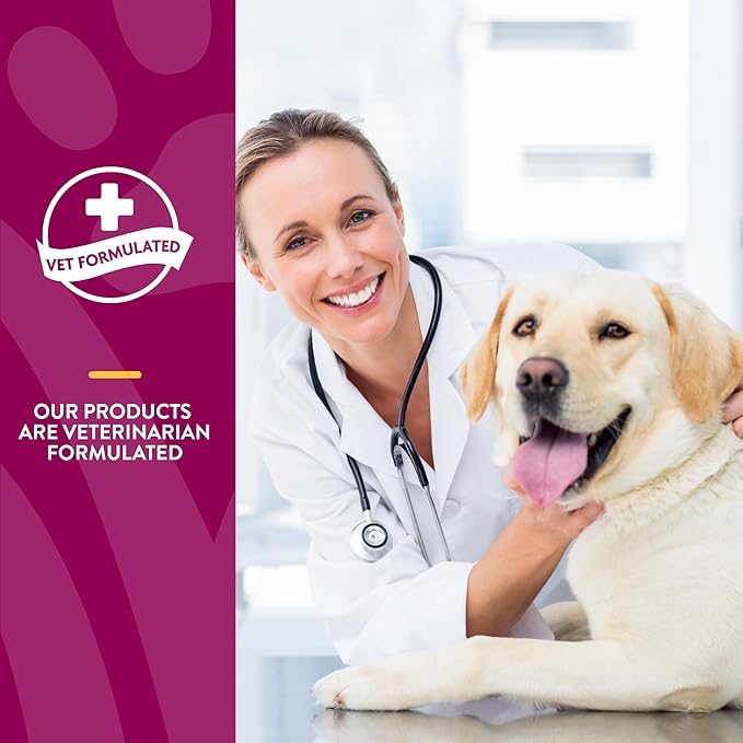 NaturVet – ArthriSoothe-GOLD – Level 3 Advanced Joint Care | Clinically Tested to Support Connective Tissue, Cartilage Health & Joint Movement | Enhanced with Glucosamine, MSM, Chondroitin & Green Lipped Mussel | For Dogs & Cats | 90 Chewable Tablets
