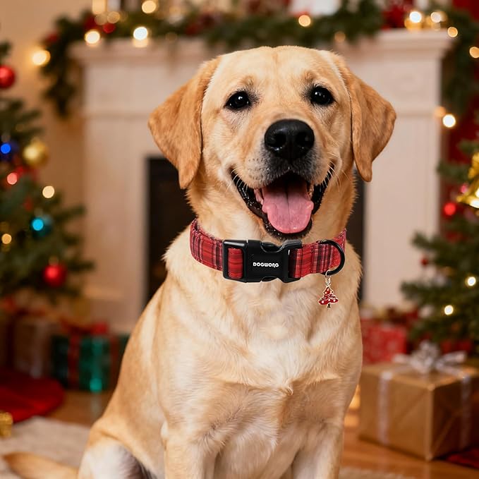 DOGWONG Christmas Plaid Dog Collar, Cute Adjustable Red Tartan Collar, Red Grid Dog Collar with Strong Plastic Buckle for Small Medium Large Dogs,M
