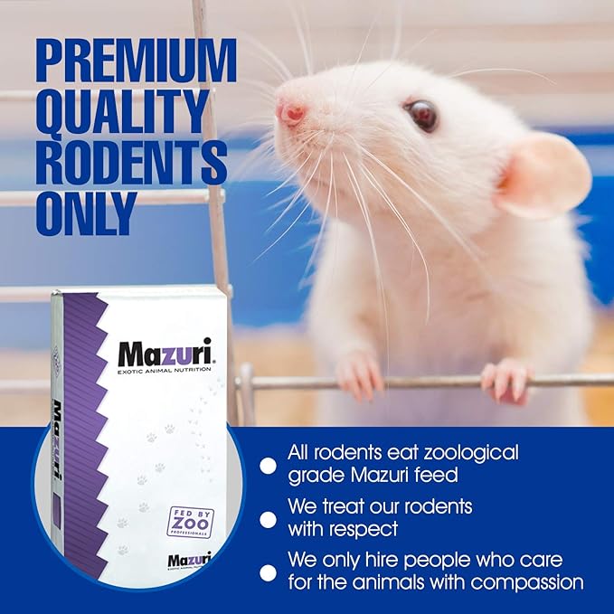 MiceDirect 100 Frozen Mice Combo Pack of 50 Weanlings and 50 Small Adult Feeders Snake Food for Mice for Adult Sand Boa Corn Milk Snakes (2-3 in)(Pack of 100)(1600 Grams Min)