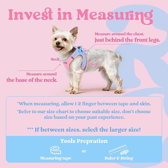 rabbitgoo Small Dog Harness, Step-in Soft Mesh Puppy Vest with Safety Buckle, Breathable Reflective Pet Harness for Small Sized Dogs, Blue & Light Pink M