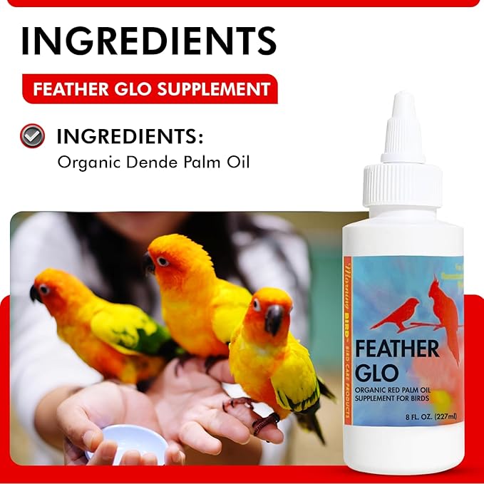 Morning Bird Feather Glo 8 Oz – Palm Oil Supplement for Birds – Supports Pet Skin Treatment Spray, Feather Shine & Immune Health – Vitamin, Mineral & Energy Support for All Bird Types