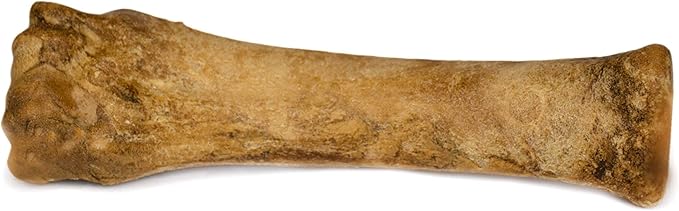 Nylabone Healthy Edibles Natural Dog Chews, Long Lasting Bones for Dogs, Roast Beef Flavor Dog Treats, X-Large (1 Count)