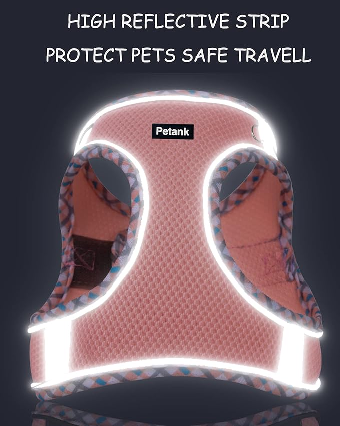 Petank Dog Harness for Small Medium Dogs No Pull, Puppy Harness and Leash Set, Step in Dog Harness for Walking, Running, Training, Small Dog Vest(Black, XS)