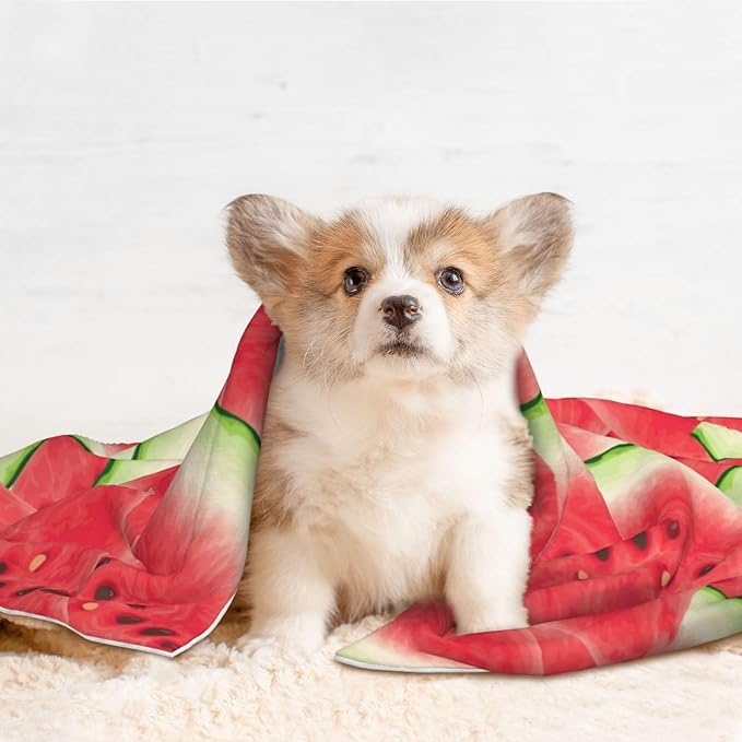 Pet Blanket for Car Rides Vet Visits, Watermelon Fruit Summer Art, Two Sided Reversible Plush Design with Bumpy Dot Side Offers Comfort Home Piece On Go Travel