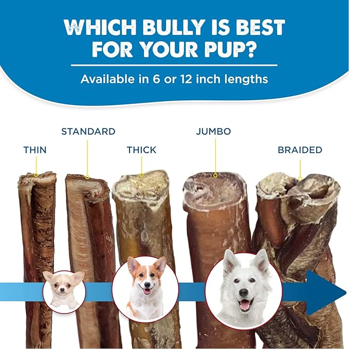 Best Bully Sticks 12 Inch Bully Sticks for Dogs - 3 Count (Pack of 1) - Natural, Easily Digestible, Grass-Fed Beef, Grain and Rawhide Free - Trial Size