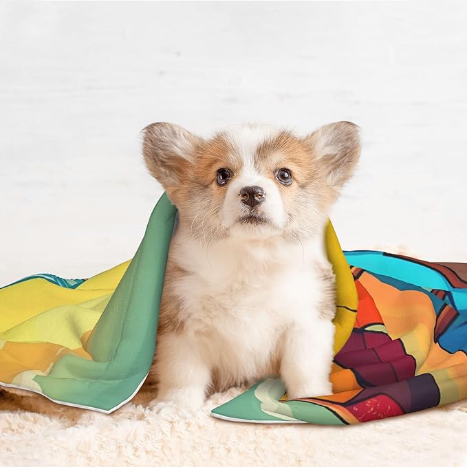 Waterproof Dog Blanket Soft Pet Blanket for Puppy Cat, Fleece Cat Throw Blankets for Furniture Bed Couch Sofa Reversible - Vintage Beach Sunset